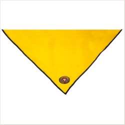 Pathfinder Scarf South Africa | Adventist Uniform Neckerchief